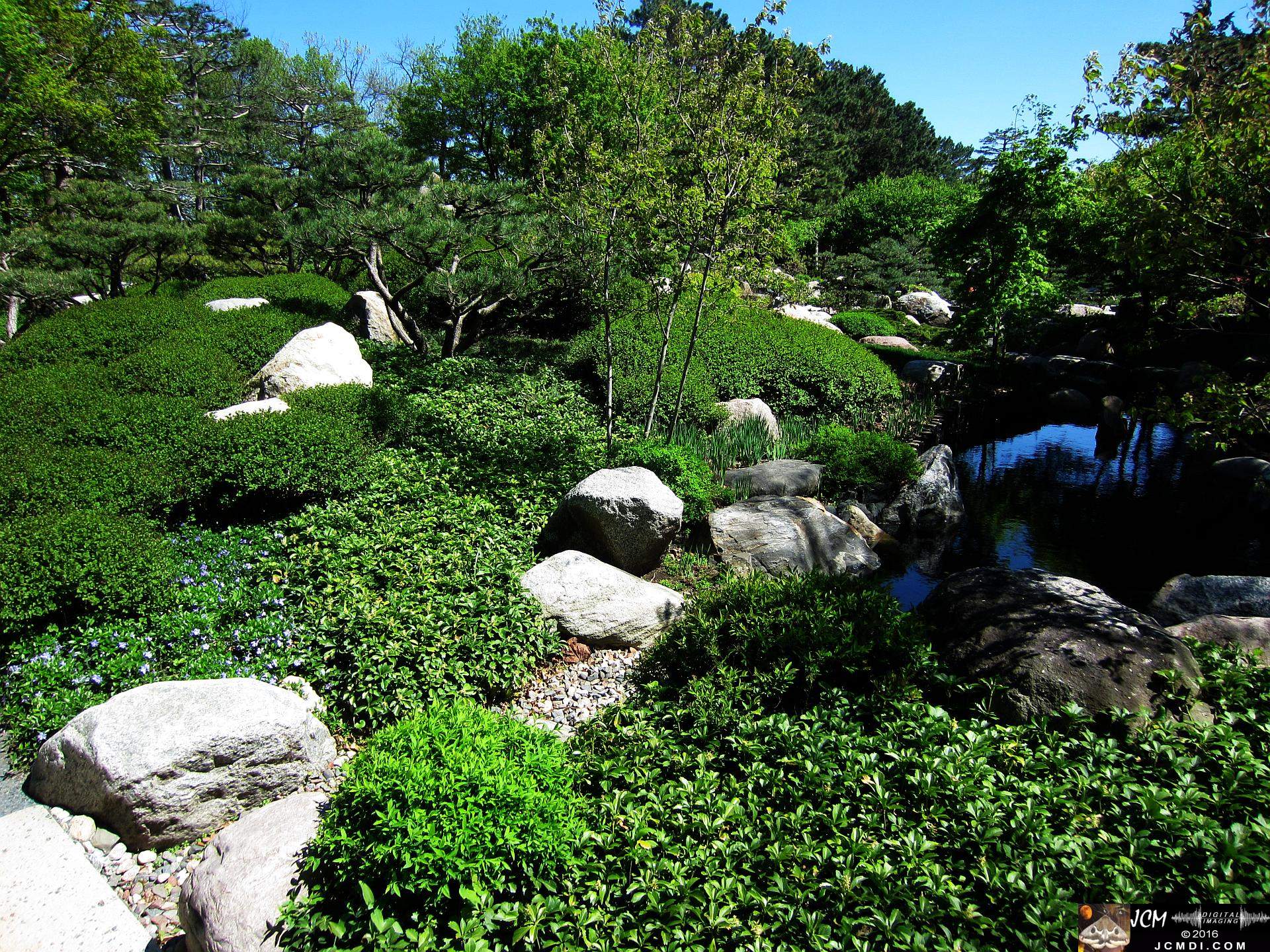 Como Zoo conservatory, MN japanese garden